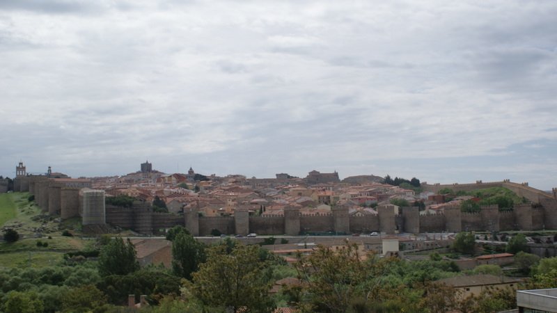 dsc01782.jpg