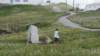 dsc01864_small.jpg