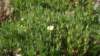 dsc01880_small.jpg