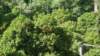 dsc01954_small.jpg