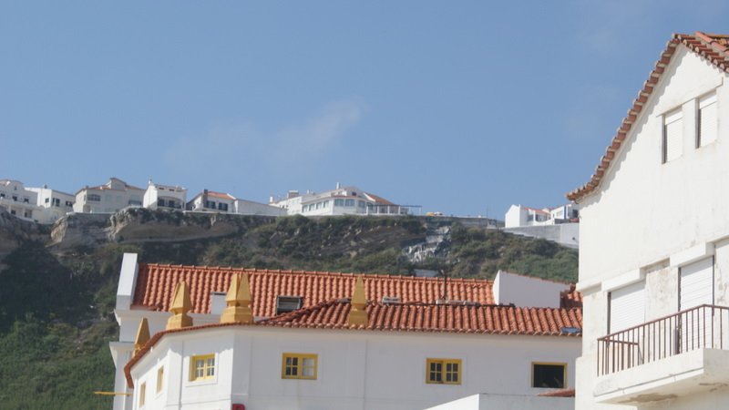 dsc02012.jpg