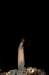 dsc02097_small.jpg