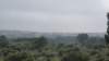 dsc02106_small.jpg