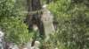dsc02118_small.jpg