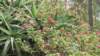 dsc02162_small.jpg