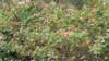 dsc02163_small.jpg