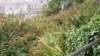 dsc02165_small.jpg