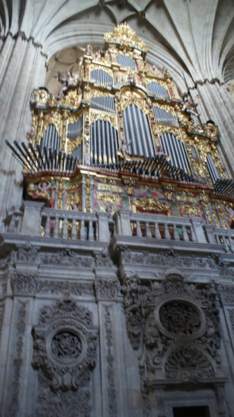 dsc02211.jpg