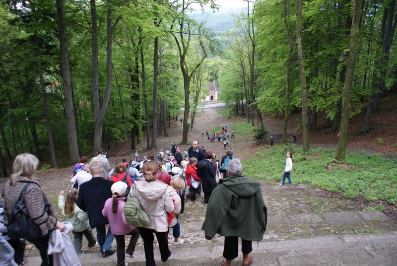 dsc04522.jpg
