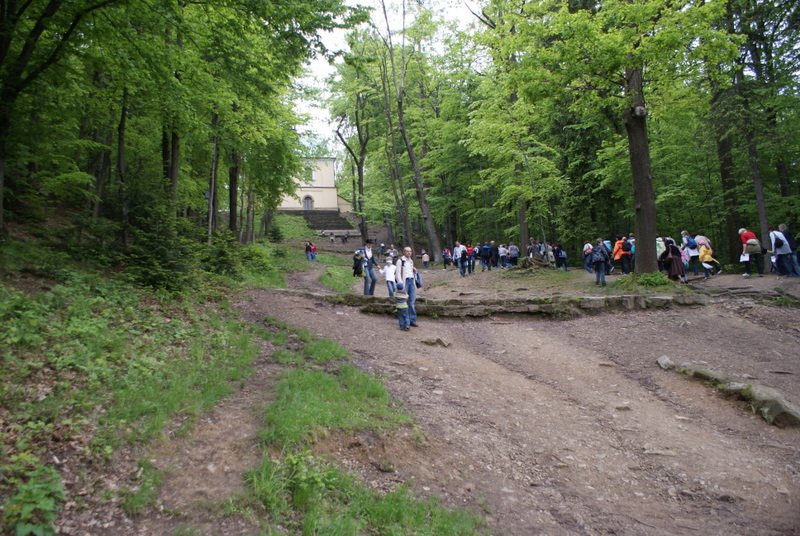 dsc04527.jpg
