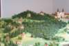 dsc04554_small.jpg