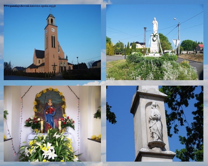 po7.jpg