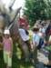 p1010524_small.jpg