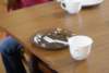 dsc00594_small.jpg