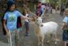 dsc00890_small.jpg
