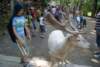 dsc00891_small.jpg