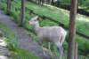 dsc00893_small.jpg