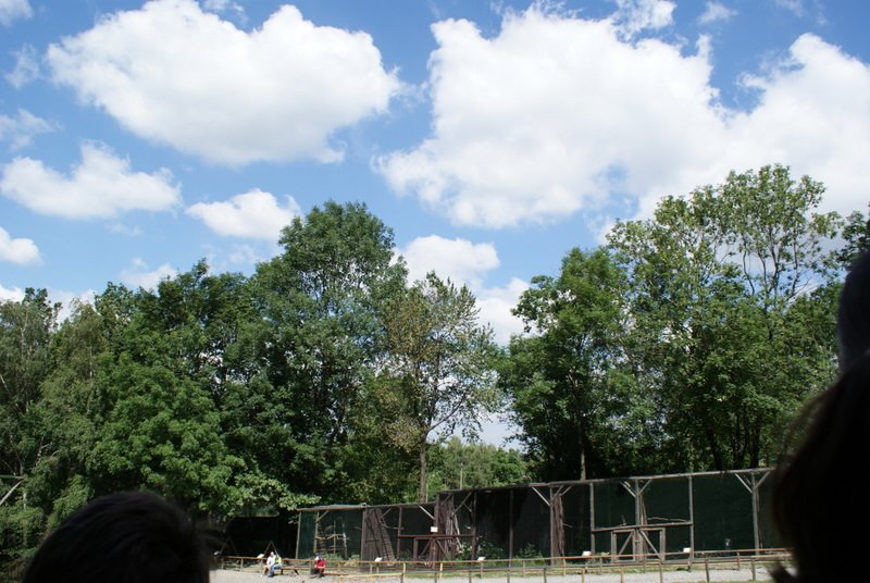 dsc00895.jpg