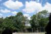 dsc00895_small.jpg