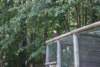 dsc00902_small.jpg