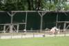 dsc00903_small.jpg