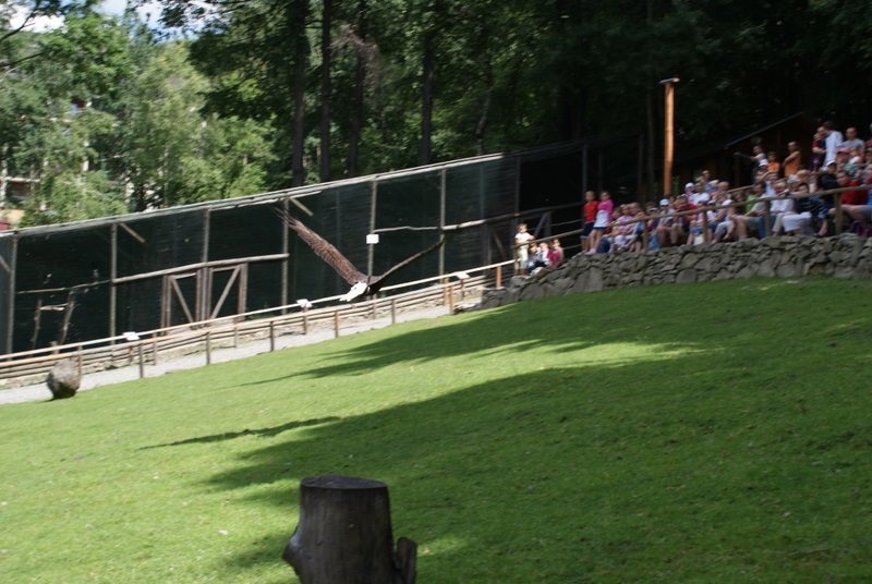 dsc00905.jpg