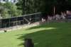 dsc00905_small.jpg