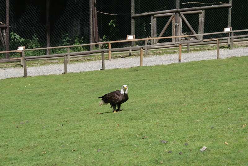 dsc00908.jpg