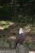 dsc00933_small.jpg