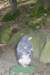 dsc00935_small.jpg