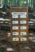 dsc00948_small.jpg