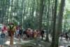 dsc00951_small.jpg