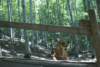 dsc00952_small.jpg