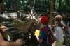 dsc00957_small.jpg