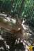 dsc00958_small.jpg