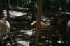 dsc00960_small.jpg