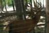 dsc00962_small.jpg
