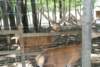dsc00963_small.jpg
