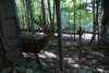 dsc00964_small.jpg