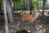 dsc00965_small.jpg