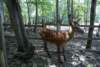 dsc00966_small.jpg