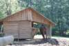 dsc00967_small.jpg