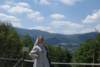 dsc00974_small.jpg