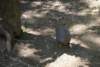 dsc00977_small.jpg