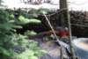 dsc00978_small.jpg