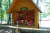 dsc00985_small.jpg