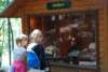 dsc00989_small.jpg