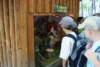 dsc00992_small.jpg