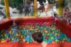 dsc01015_small.jpg