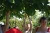 dsc01094_small.jpg